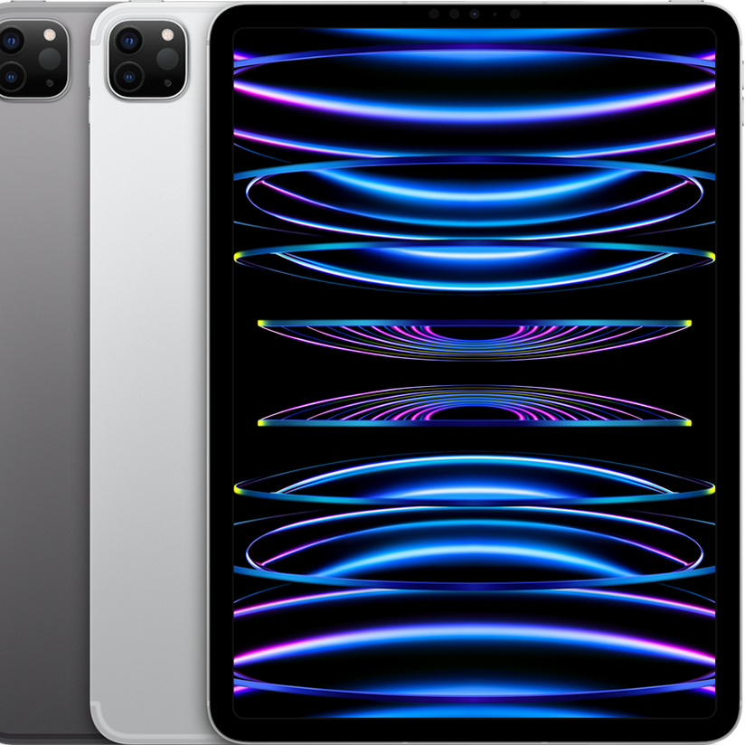iPad Pro 11" (3rd Gen) Strictli