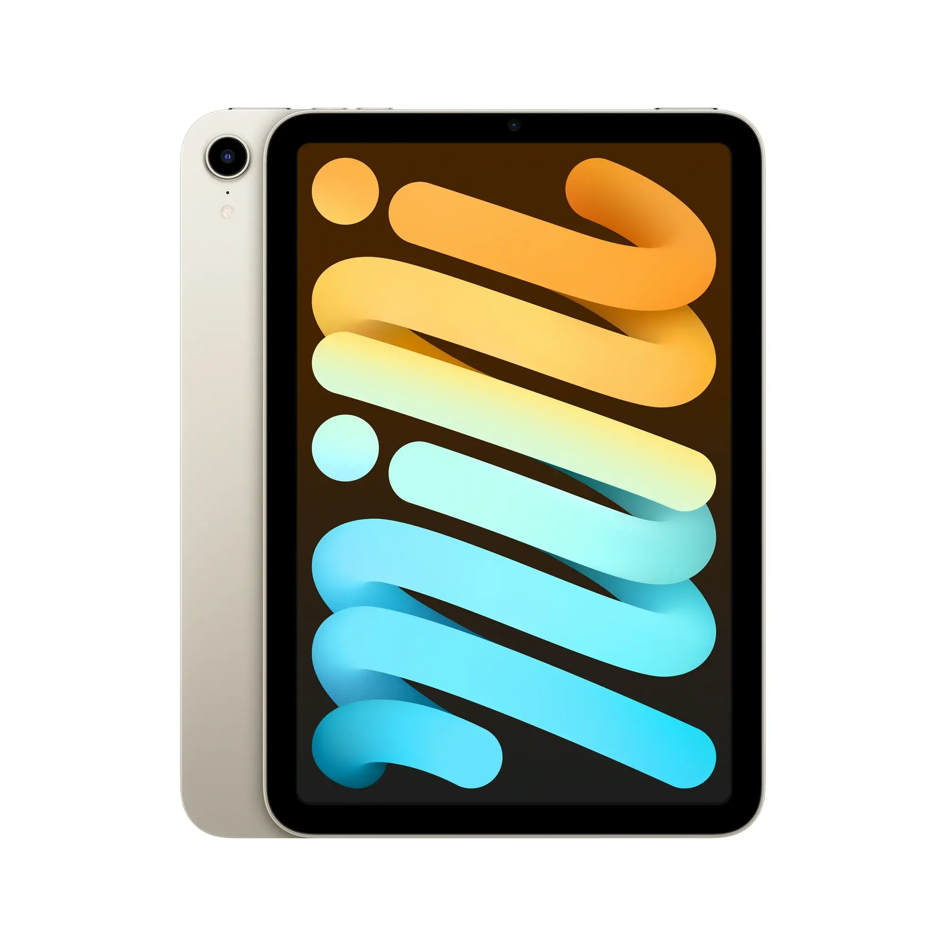 iPad Mini (A17 Pro) Strictli