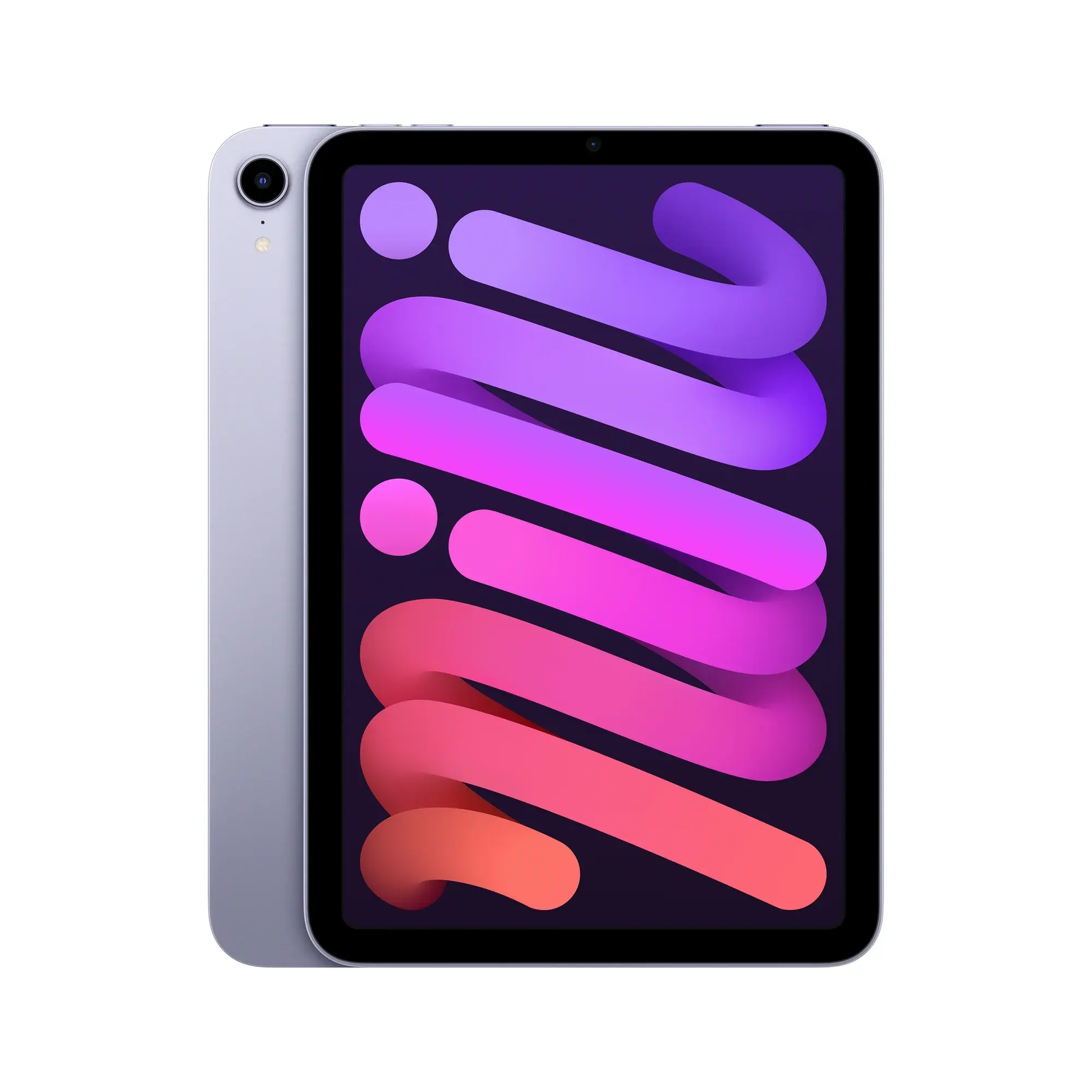 iPad Mini 6 Strictli