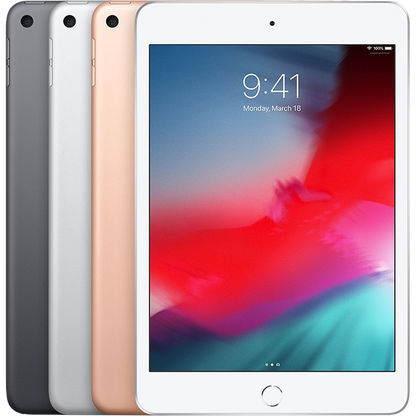 iPad Mini 5 Strictli